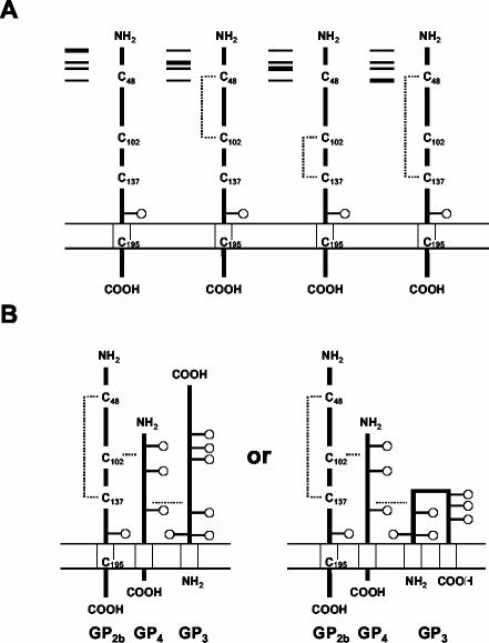 FIG. 7.