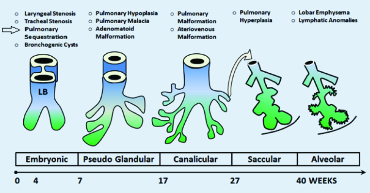 [Table/Fig-6]: