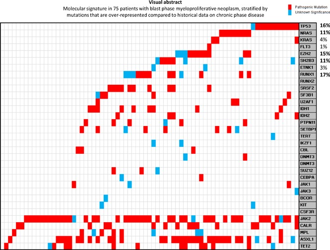 graphic file with name advances015875absf1.jpg