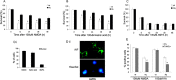 Figure 9.