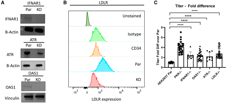 Figure 1