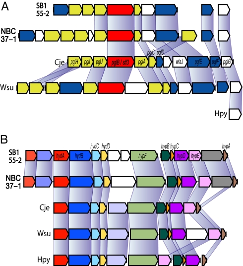 Fig. 3.