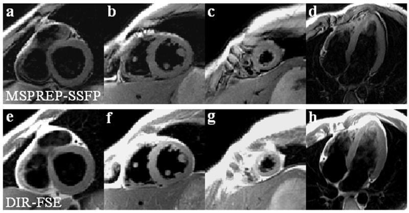 Fig. 8