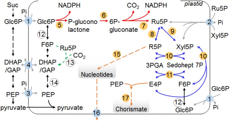 Fig. 1.