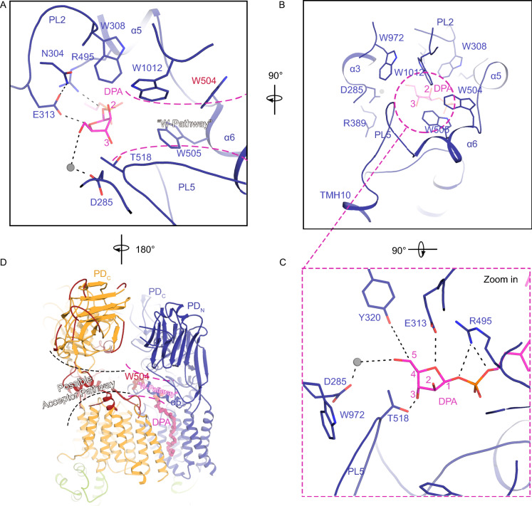 Figure 5