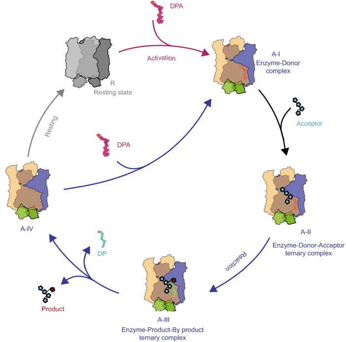 Figure 6