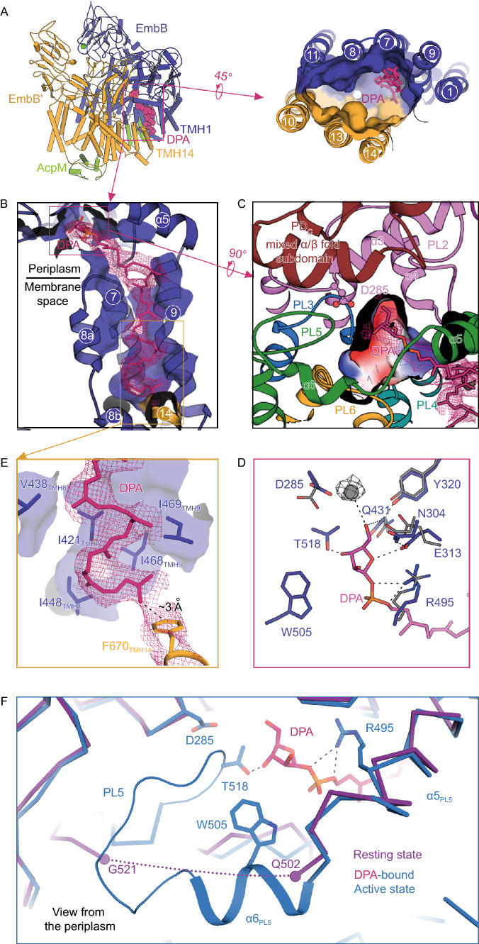 Figure 3