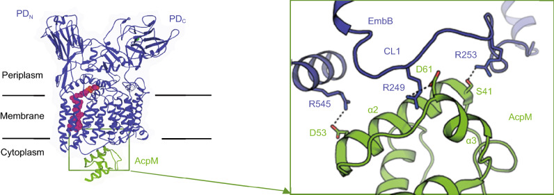 Figure 4