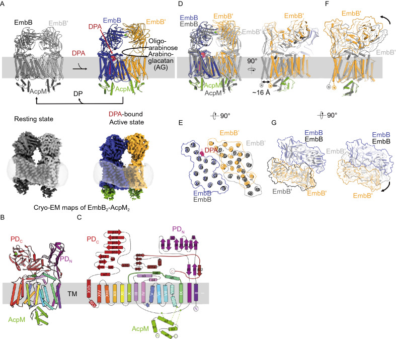 Figure 2