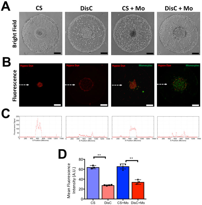 Figure 4: