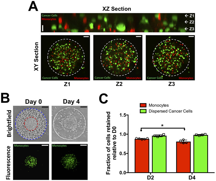 Figure 2: