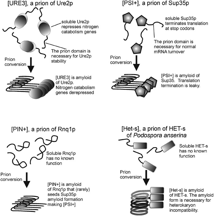 Fig.2.