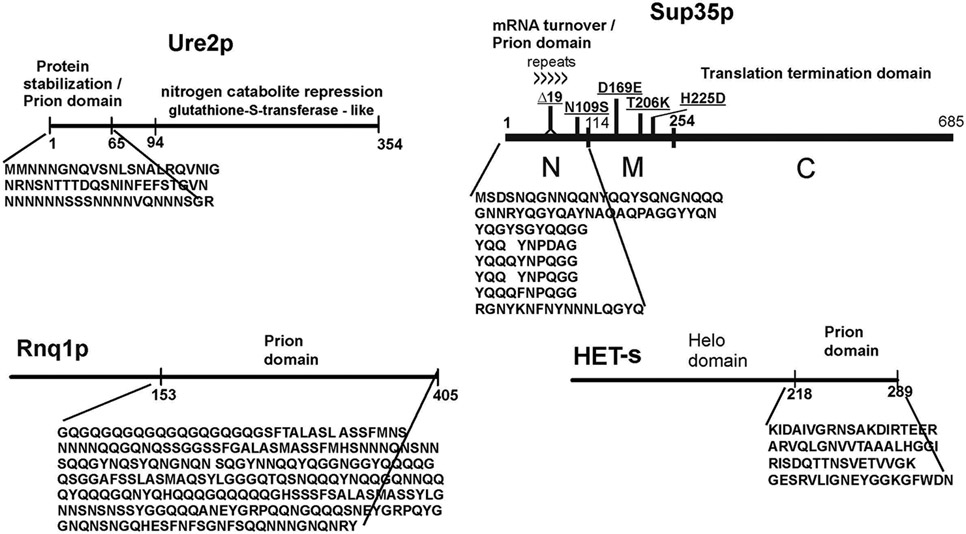 Fig.3.