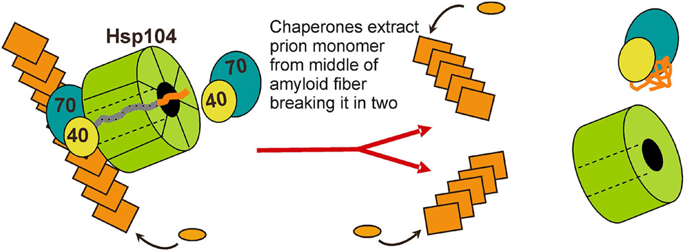 Fig. 6.