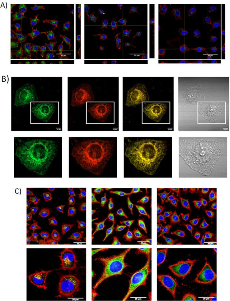 FIGURE 3