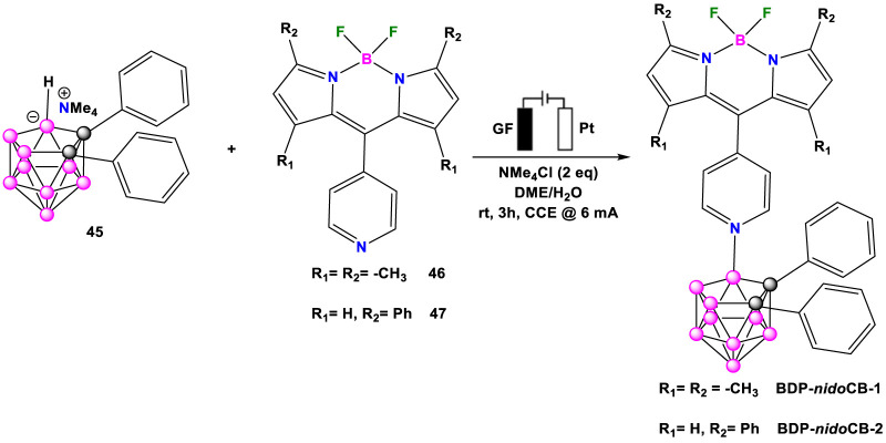 SCHEME 20