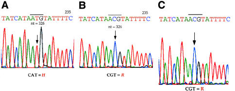 Figure  4