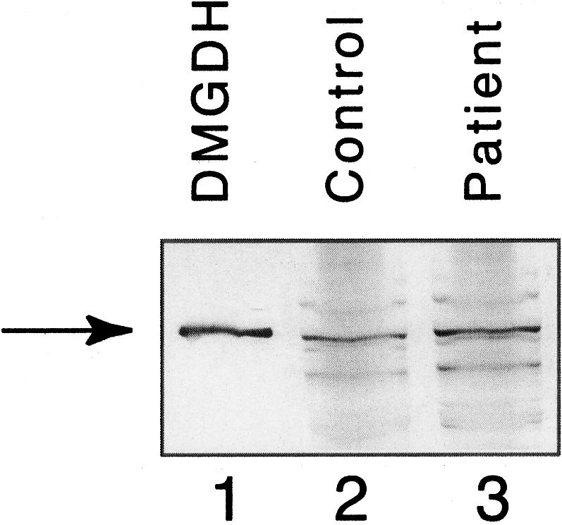 Figure  6