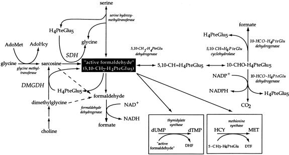 Figure  1