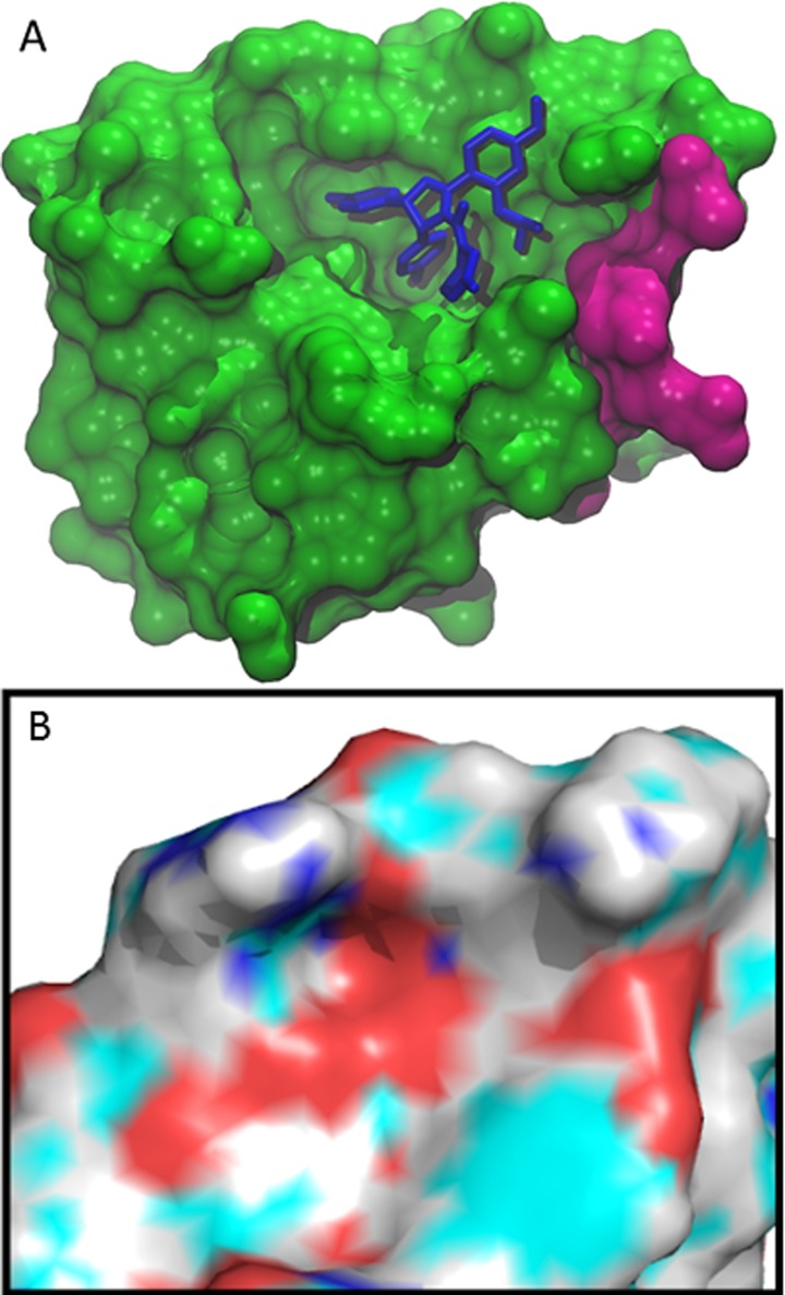 Fig 5