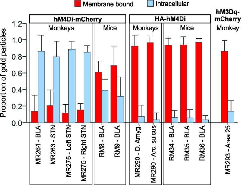 Figure 5: