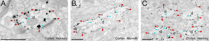 Figure 4: