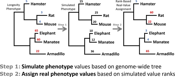 Figure 1—figure supplement 5.