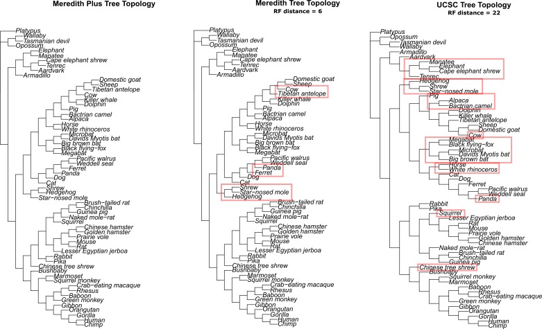 Figure 1—figure supplement 9.