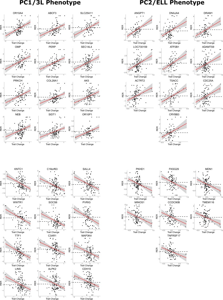 Figure 1—figure supplement 4.