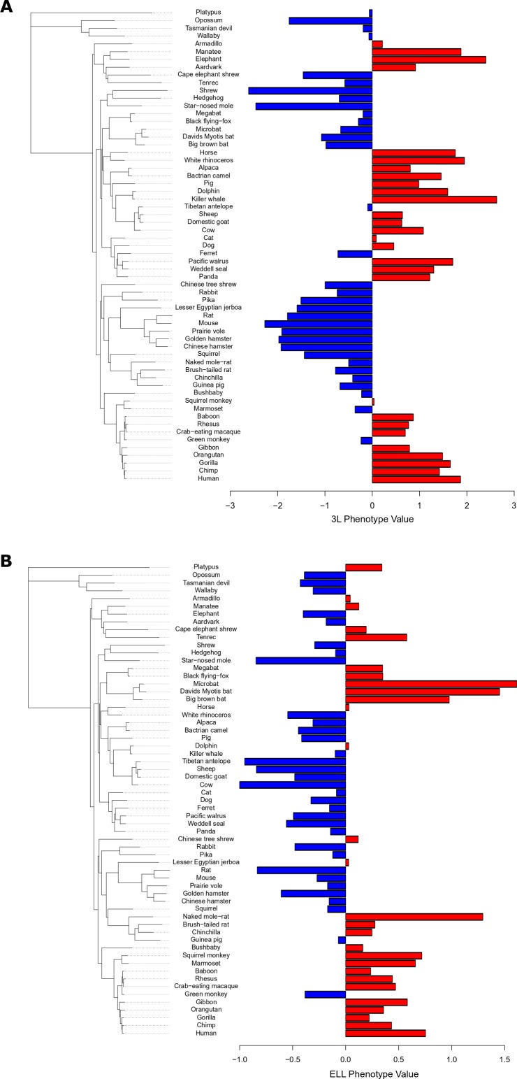 Figure 1—figure supplement 1.