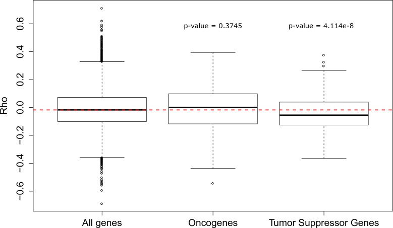 Figure 3—figure supplement 1.