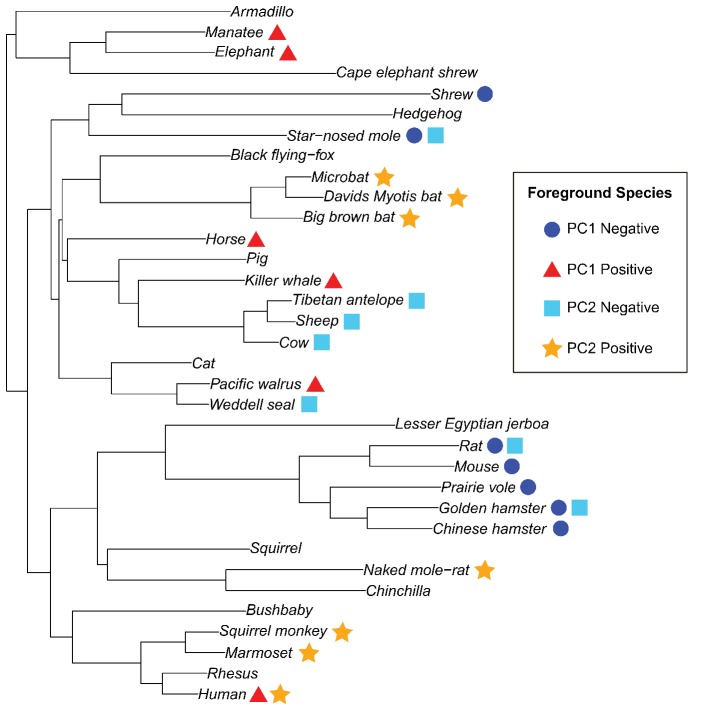 Figure 1—figure supplement 8.