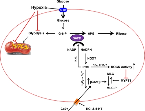 FIGURE 11.