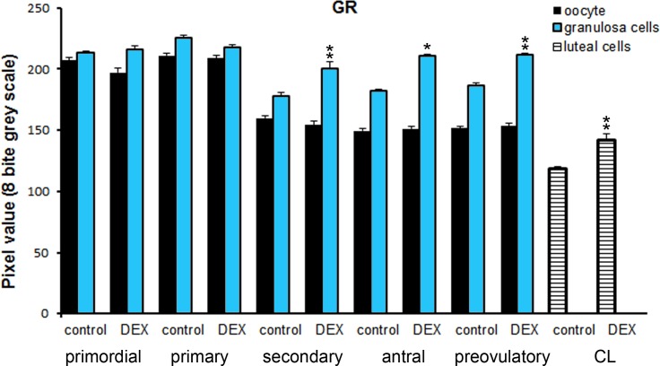 Fig 12