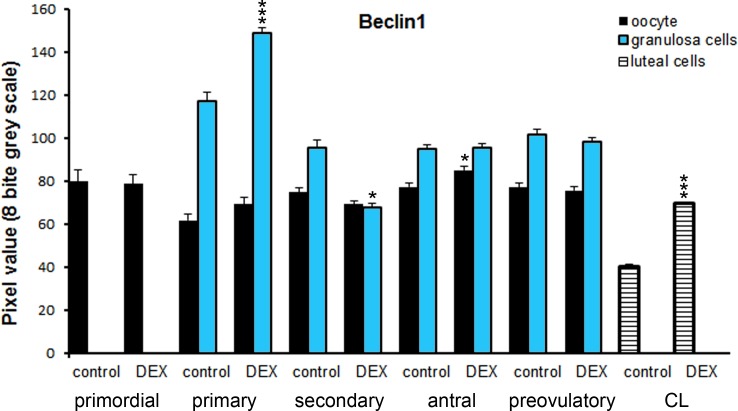 Fig 10