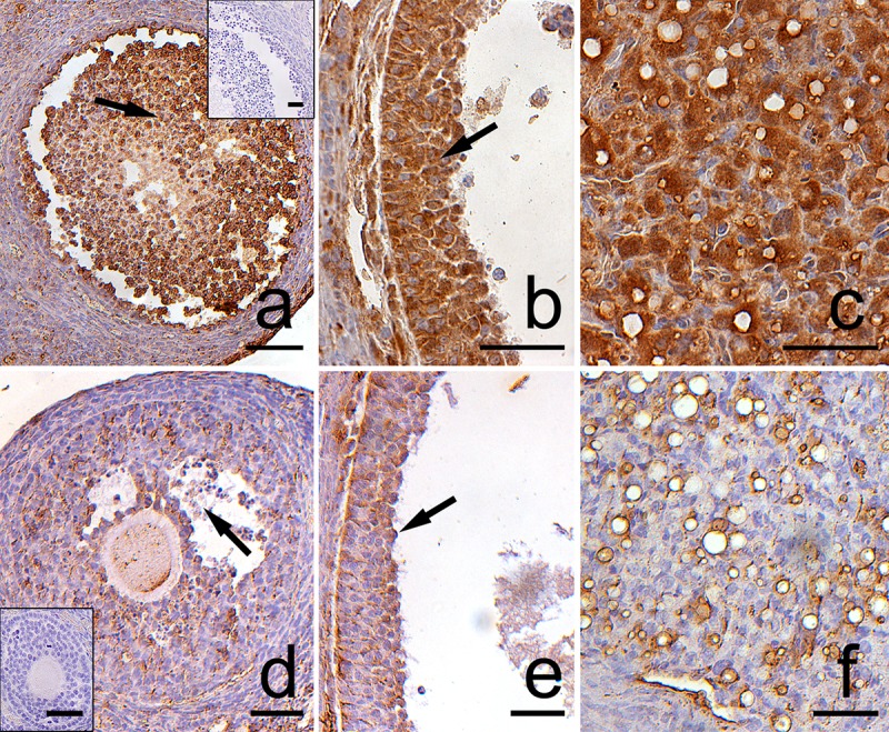 Fig 5