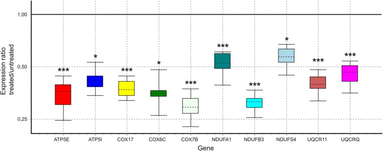 Fig. 3