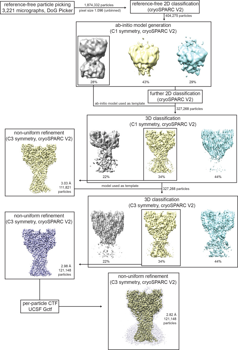 Figure 1—figure supplement 3.