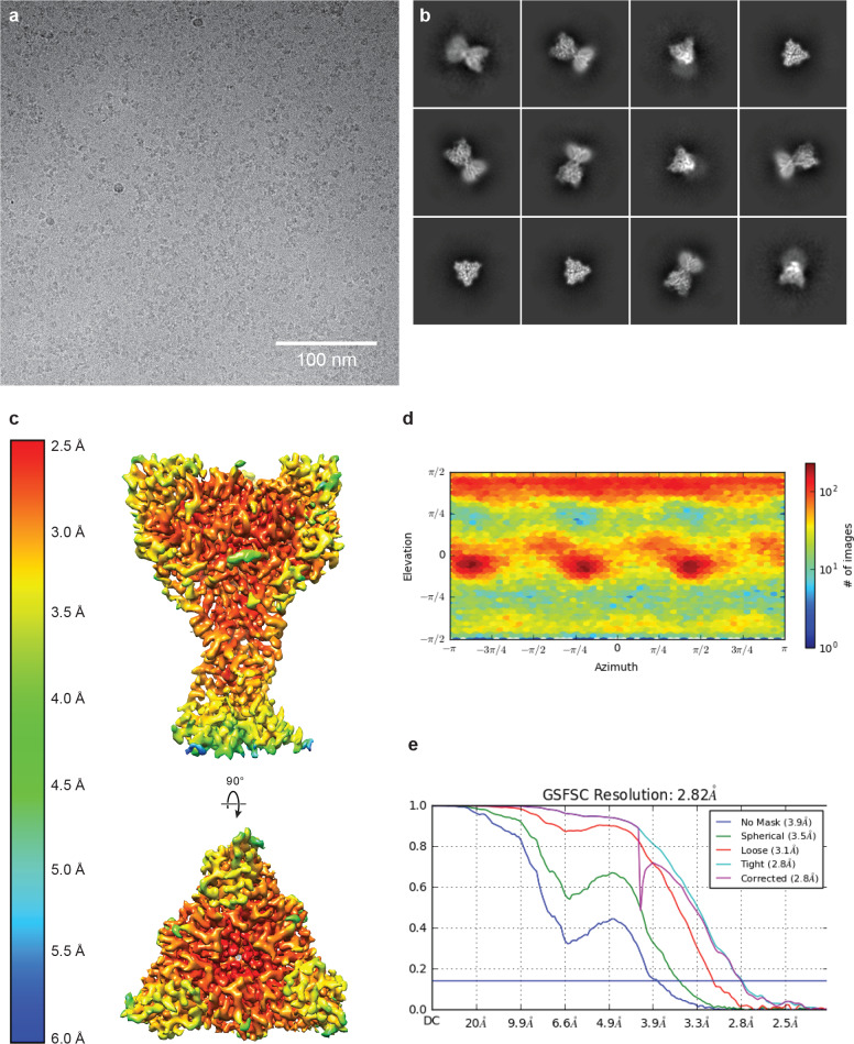 Figure 1—figure supplement 2.