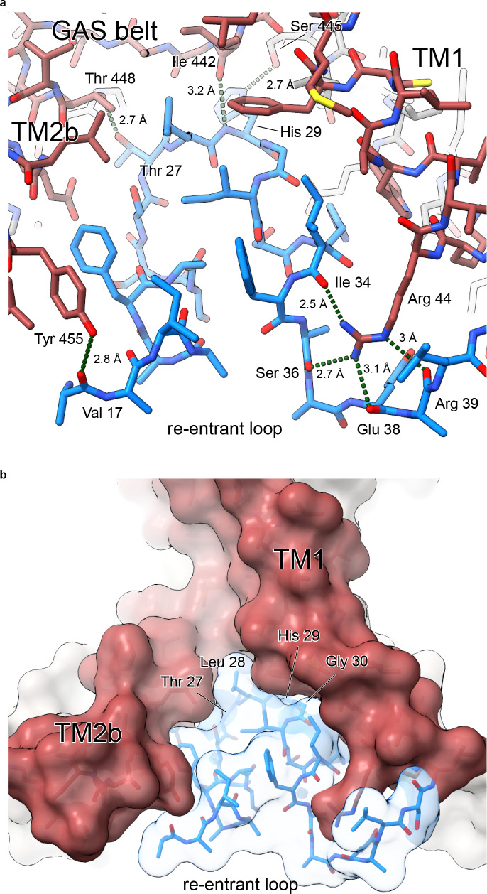 Figure 2—figure supplement 1.