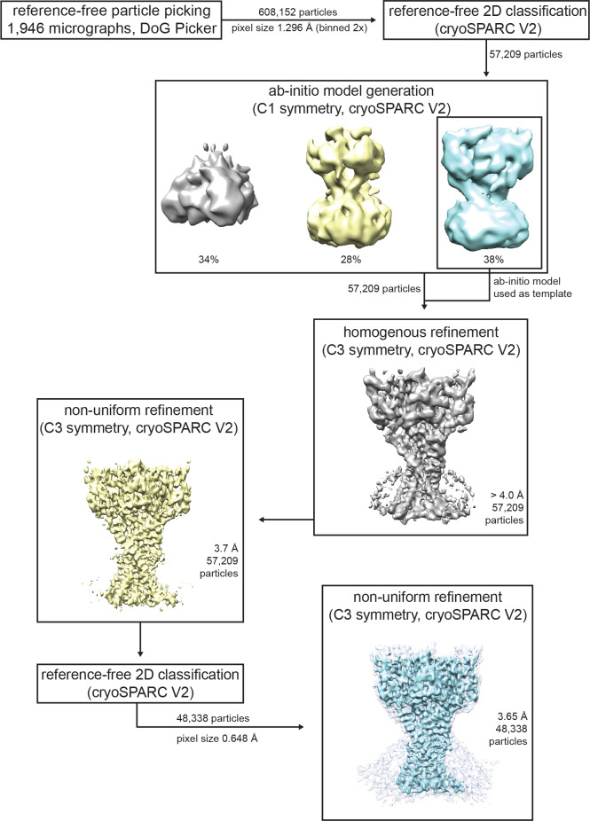 Figure 1—figure supplement 5.