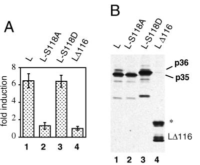 FIG. 6