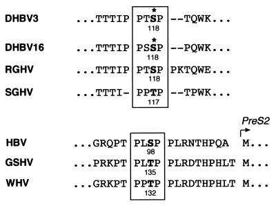 FIG. 8