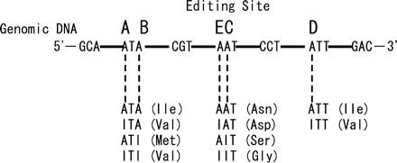 FIGURE 1.