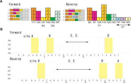 FIGURE 3.