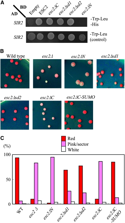 Figure 2.—