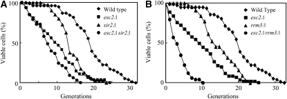 Figure 4.—