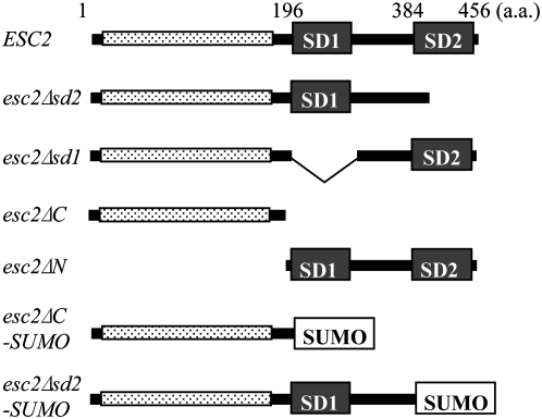 Figure 1.—