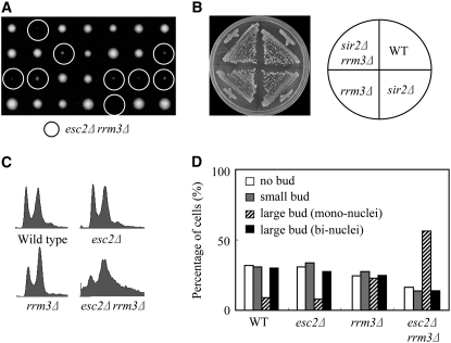 Figure 5.—