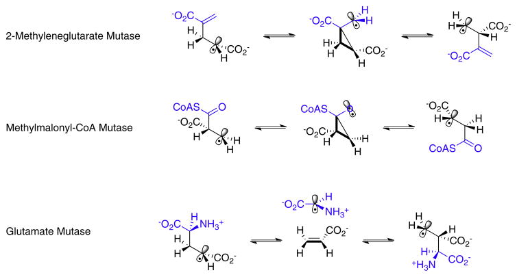 Fig. 8